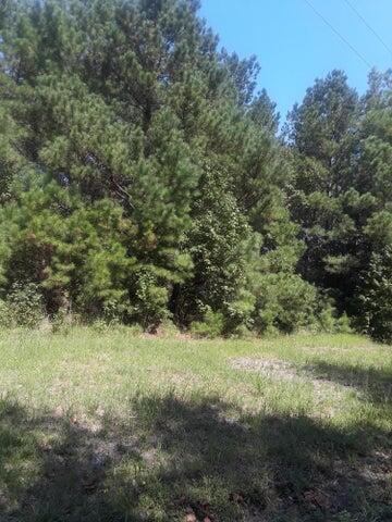 0 Hazel Lane Cross, SC 29436 - Photo 1 of 1 hazel pic