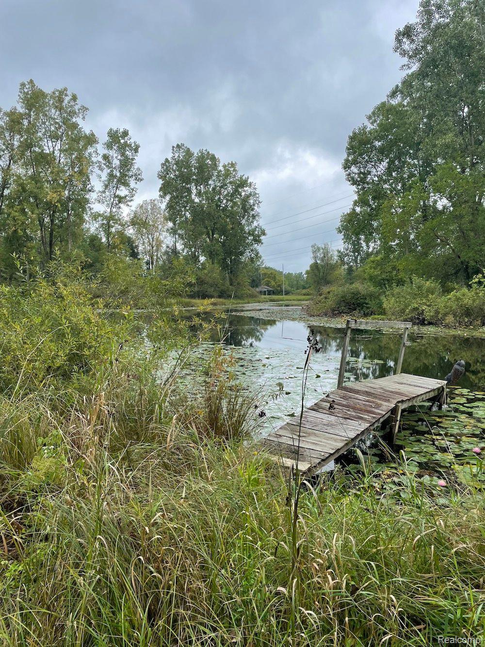 4789 Spears Road Pinckney, MI 48169 - Photo 46 of 47 *Please DO NOT attempt to gain access to dock