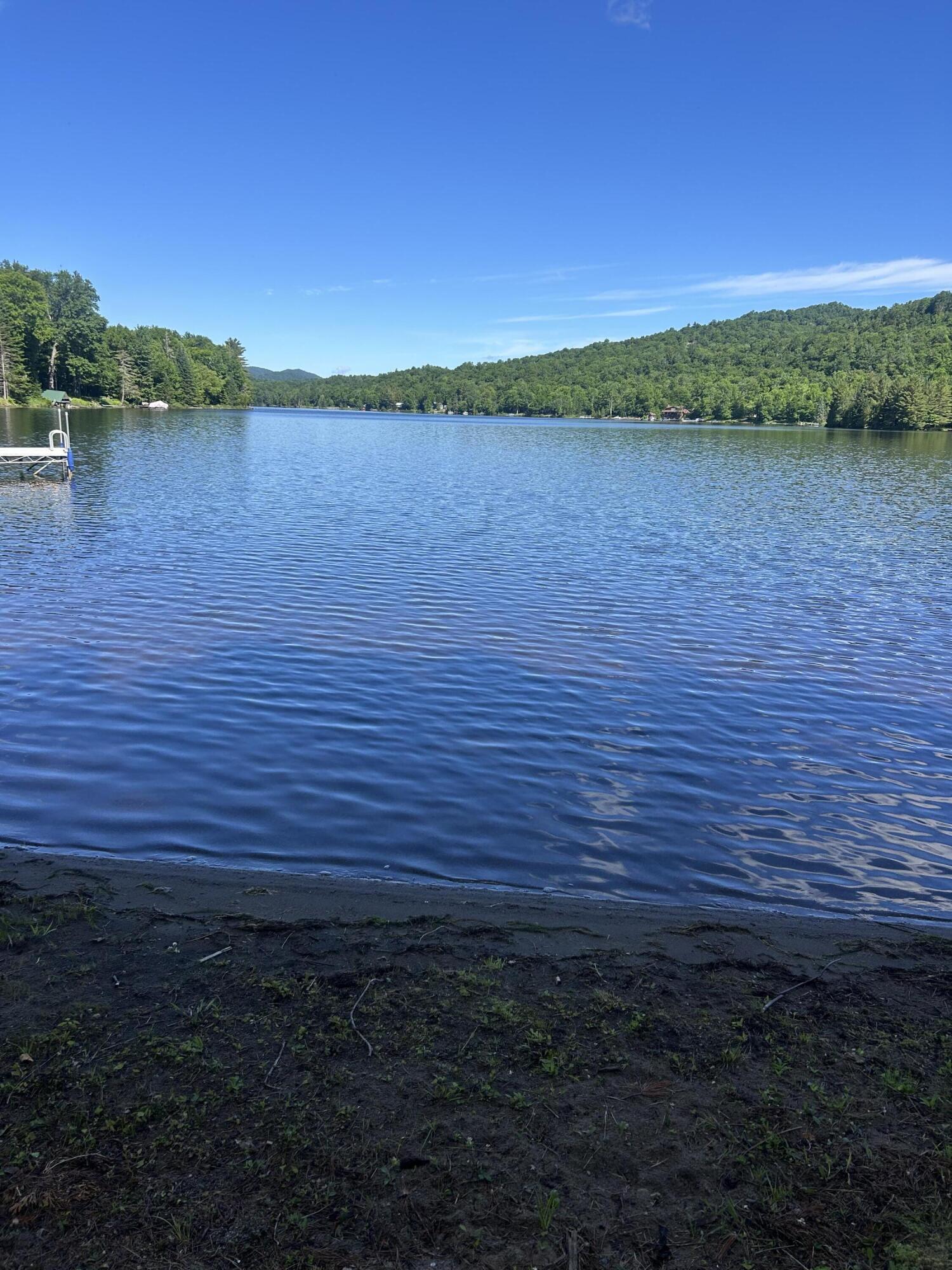 1204 Goodnow Flow Road Newcomb, NY 12852 - Photo 15 of 48