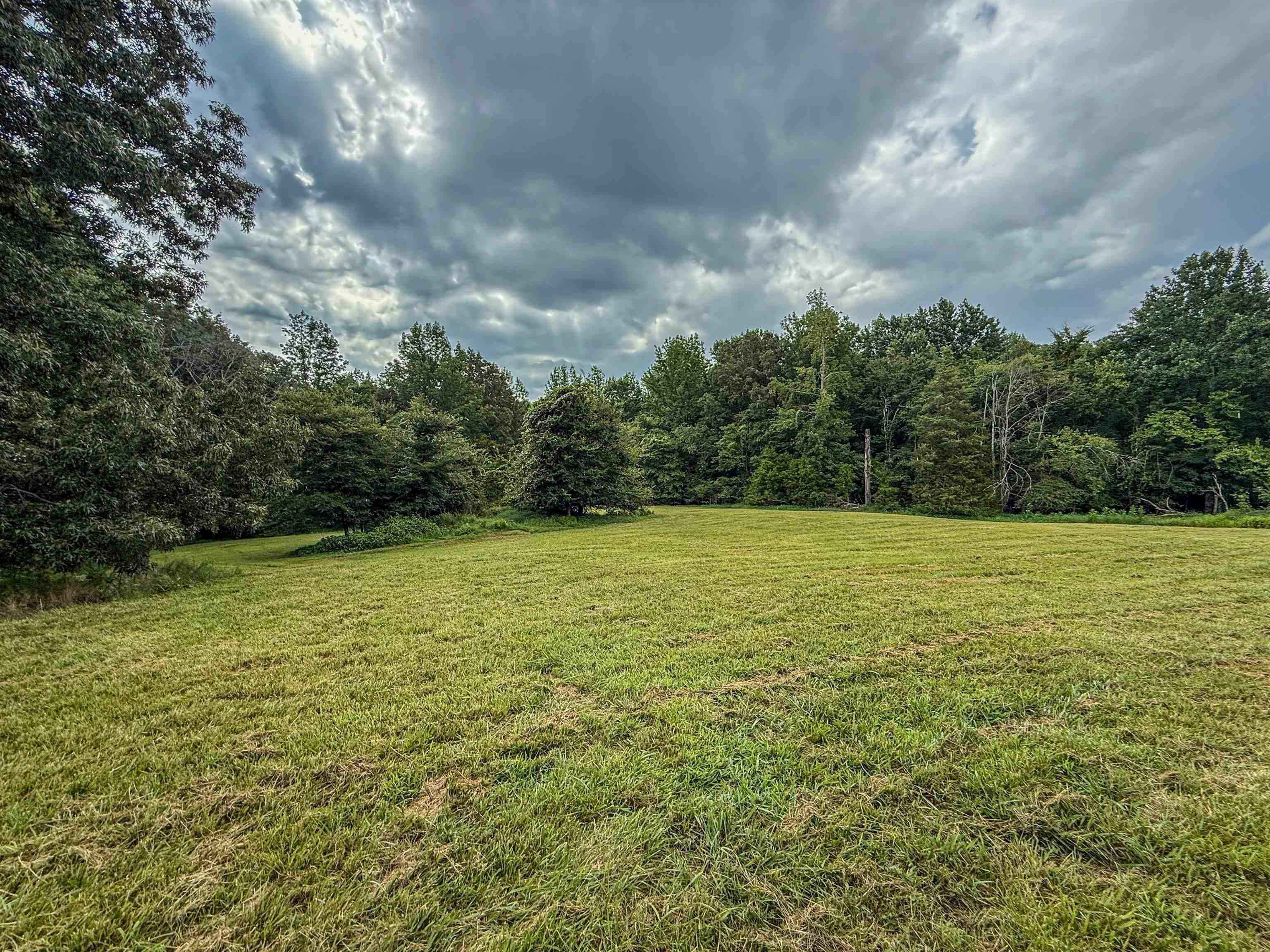 Country Club Road Somerville, TN 38068 - Photo 13 of 22 View of green lawn featuring a wooded view