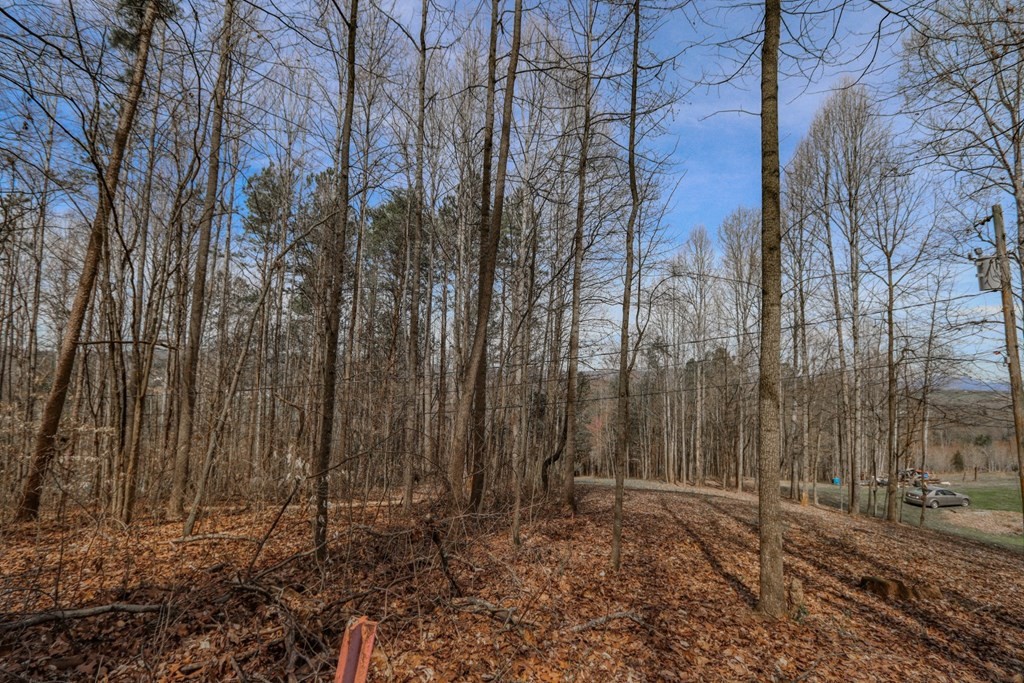 215 Wilkerson Road Mosheim, TN 37818 - Photo 9 of 20 Gallery Image 9