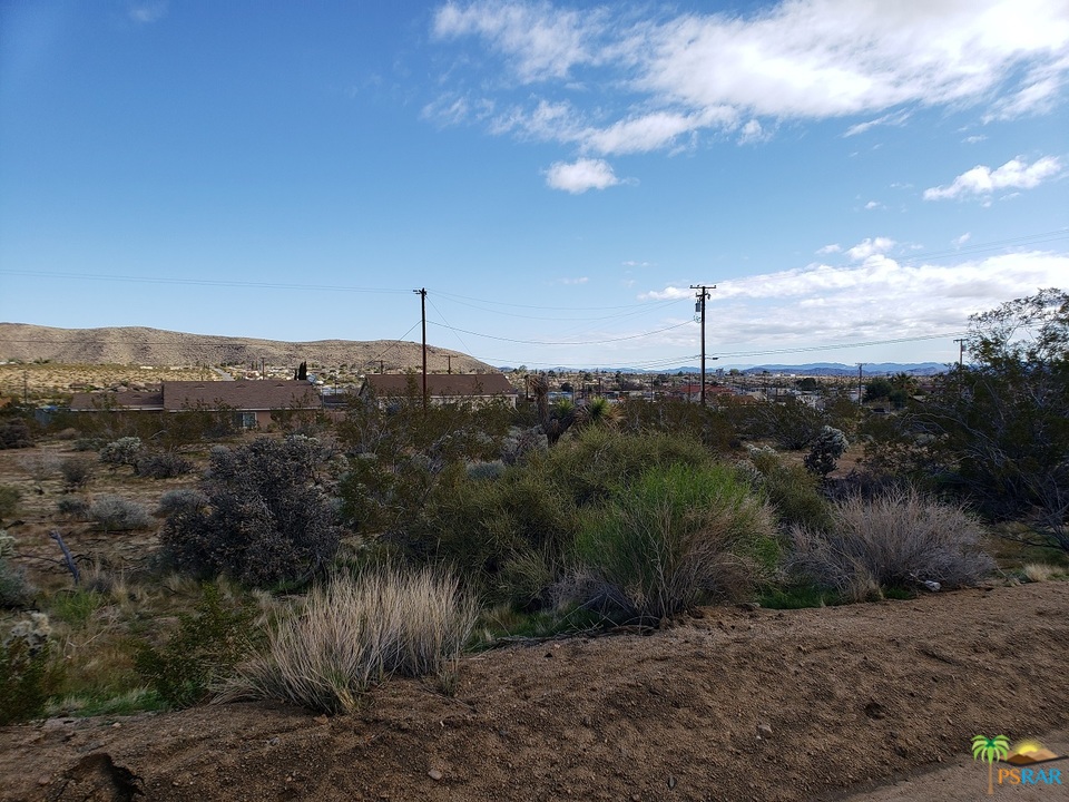 61690 Desert Air Road Joshua Tree, CA 92252 - Photo 1 of 4 a view of a city