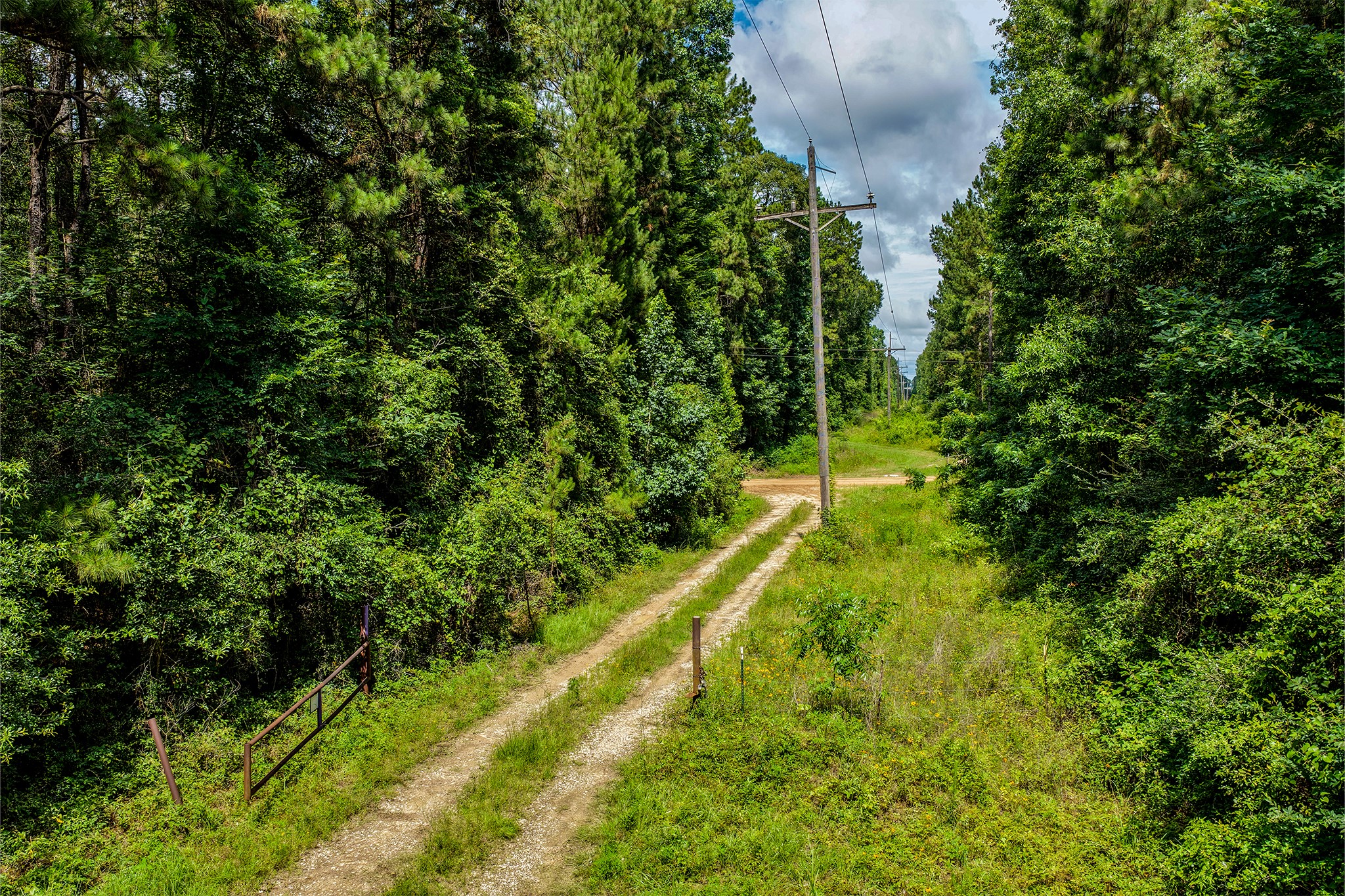 1782-acres County Line Road Shepherd, TX 77371 - Photo 10 of 22