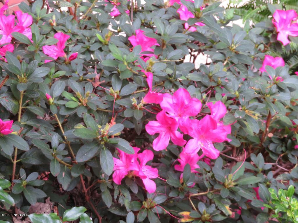 2402 Wild Turkey Road New Bern, NC 28562 - Photo 44 of 57 Beautiful Azaleas