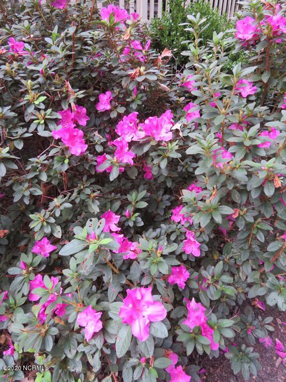 2402 Wild Turkey Road New Bern, NC 28562 - Photo 50 of 57 Muti-Blooming Landscape