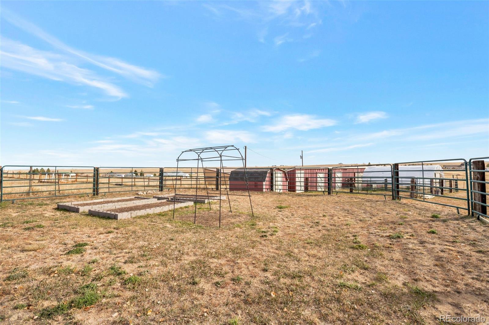 8678 Lariat Loop Elizabeth, CO 80107 - Photo 39 of 50
