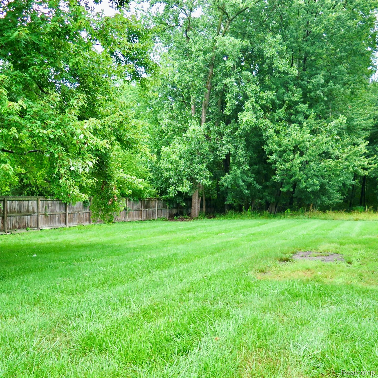 48677 Sugarbush Road, Unit 1 New Baltimore, MI 48047 - Photo 10 of 10 Expansive lawn featuring a wood privacy fence and mature perimeter trees
