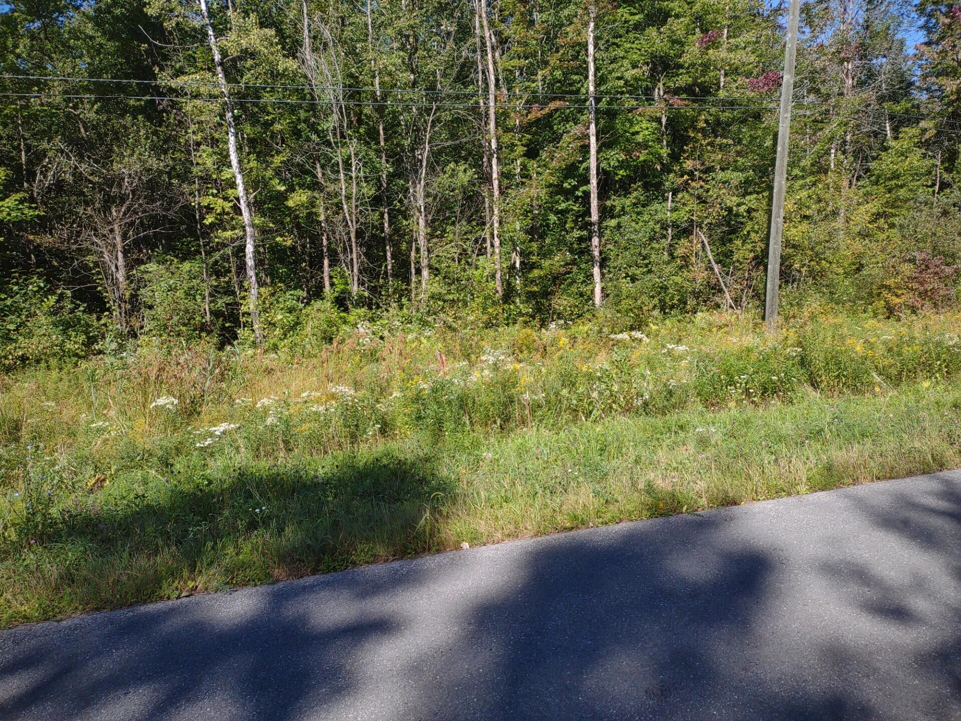 0 Nephew Road Mooers, NY 12958 - Photo 5 of 6 Heavily Wooded 17.72 Acre Parcel