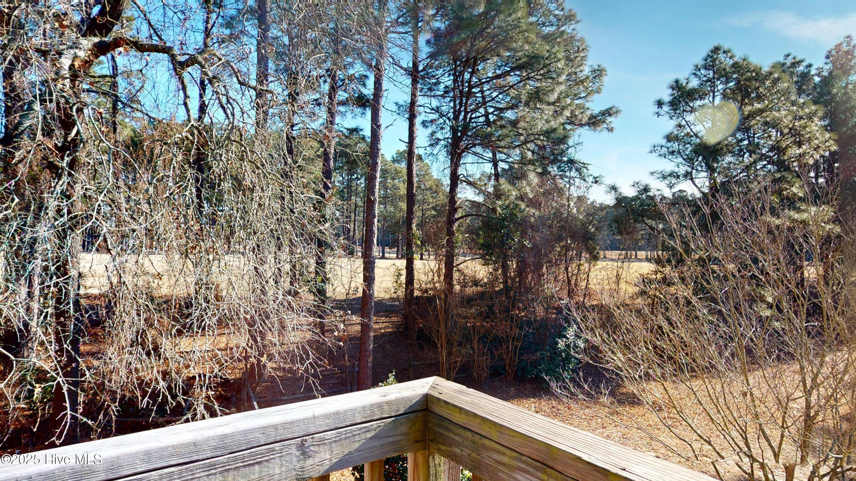 1325 Valley View Road Southern Pines, NC 28387 - Photo 63 of 87 1325-Valley-View-Rd-01172025_111231
