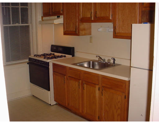 29 Mt Hood Road, Unit 4 29 Boston, MA 02135 - Photo 1 of 11