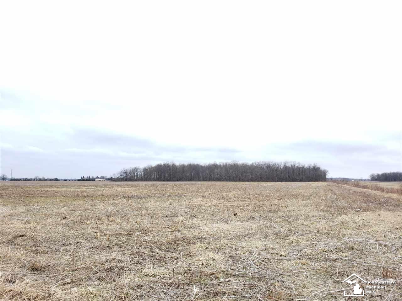 138 Rauch Road Temperance, MI 48182 - Photo 23 of 31