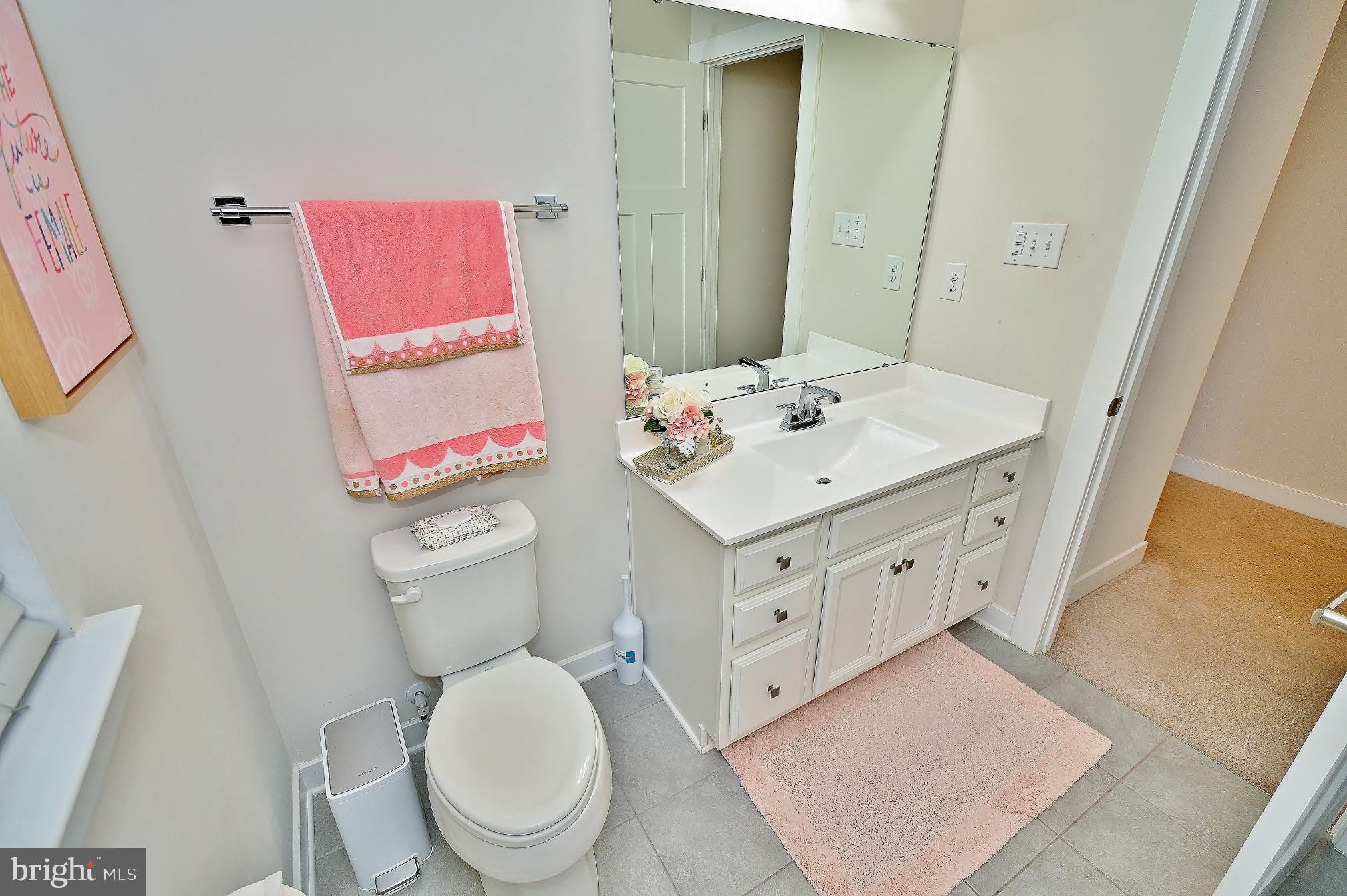 162 Pixie Moss Road Pottstown, PA 19464 - Photo 34 of 56 Gallery Image 34