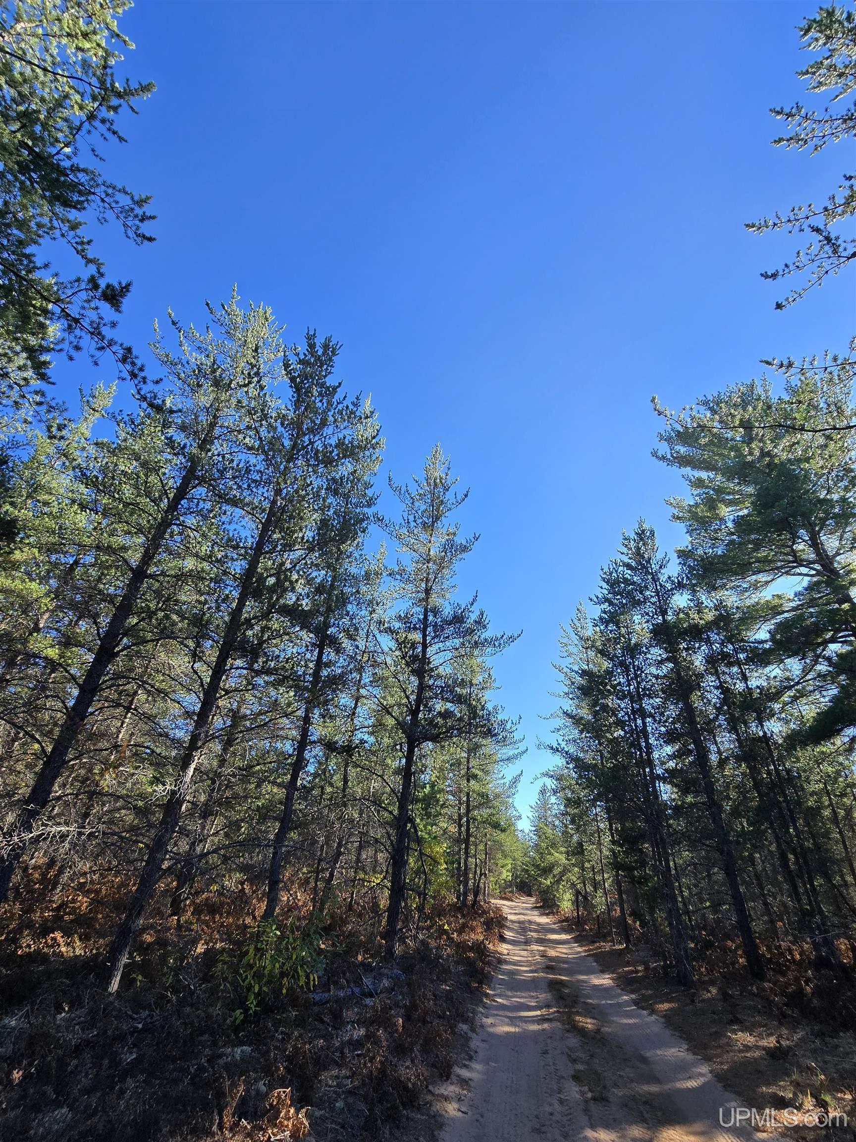 240-acres Co Rd Aaa Road Big Bay, MI 49808 - Photo 12 of 25