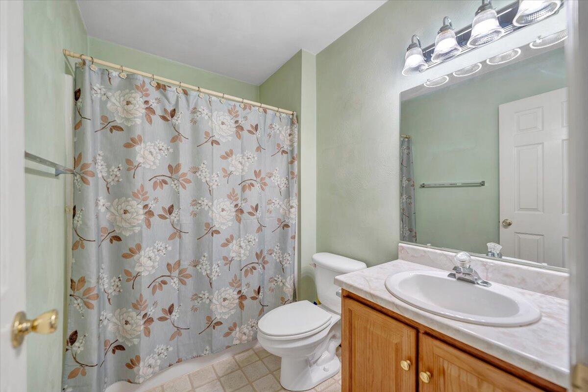 1093 Hales Ford Road Moneta, VA 24121 - Photo 22 of 45 a bathroom with a sink toilet and shower
