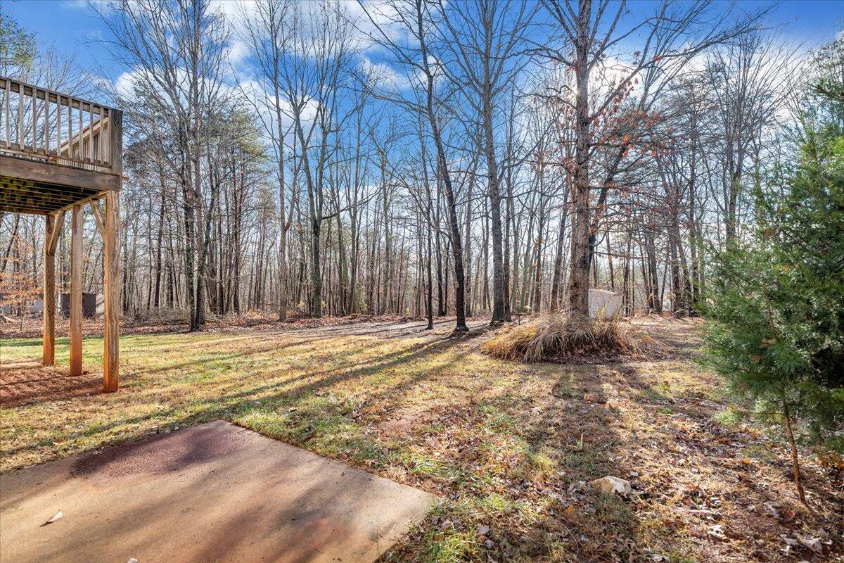1093 Hales Ford Road Moneta, VA 24121 - Photo 37 of 45 a view of a house with backyard and tree