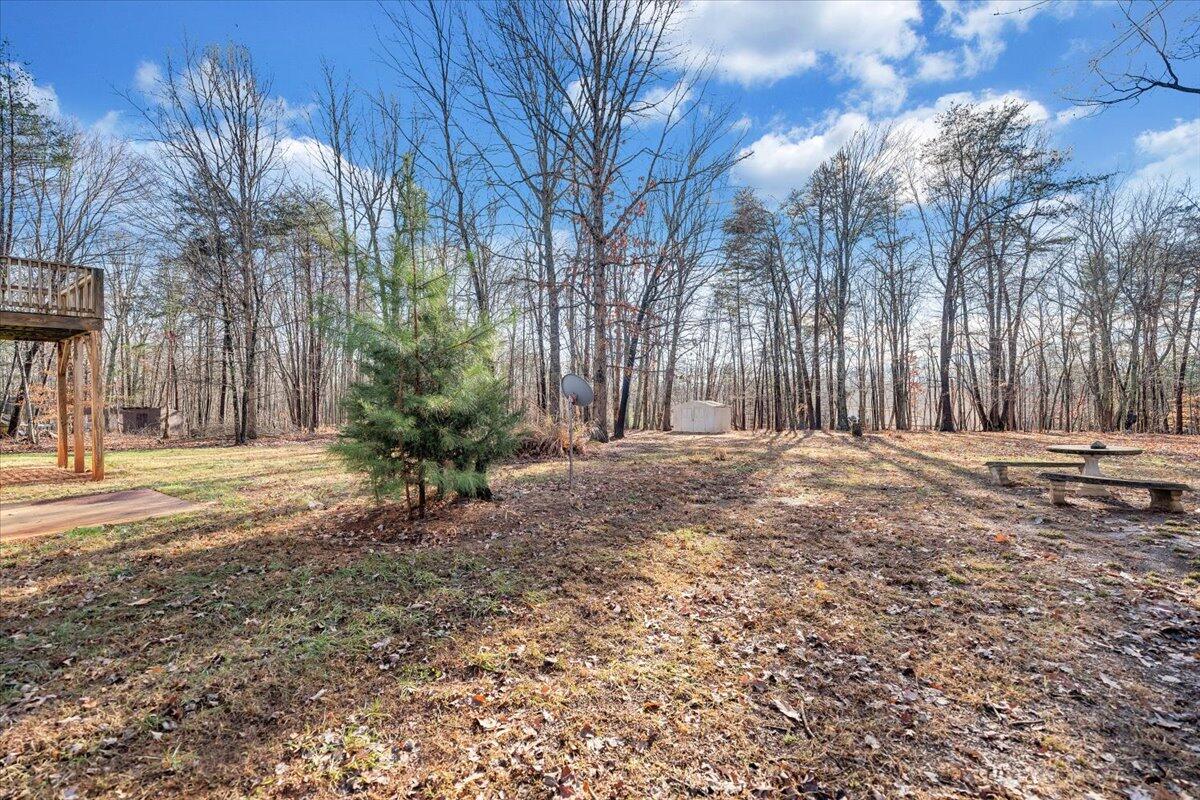 1093 Hales Ford Road Moneta, VA 24121 - Photo 38 of 45 a view of a yard with trees