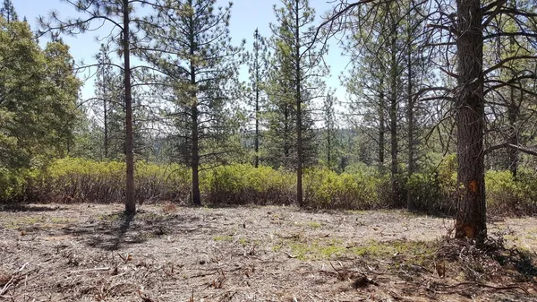 $199,900 | 0 Deardorff Road, Mokelumne Hill, CA 95245