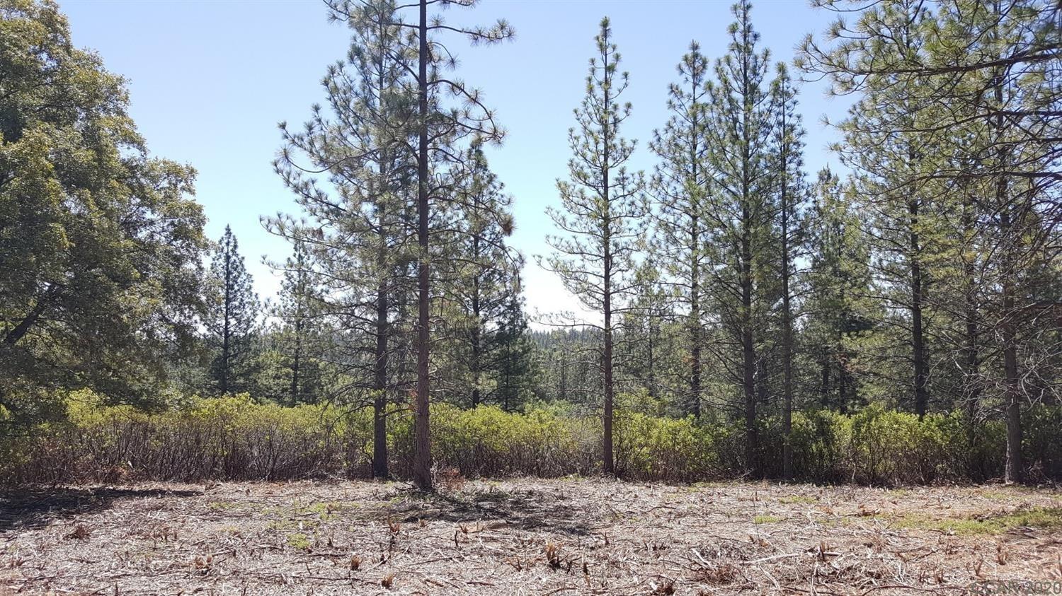 0 Deardorff Road Mokelumne Hill, CA 95245 - Photo 11 of 27