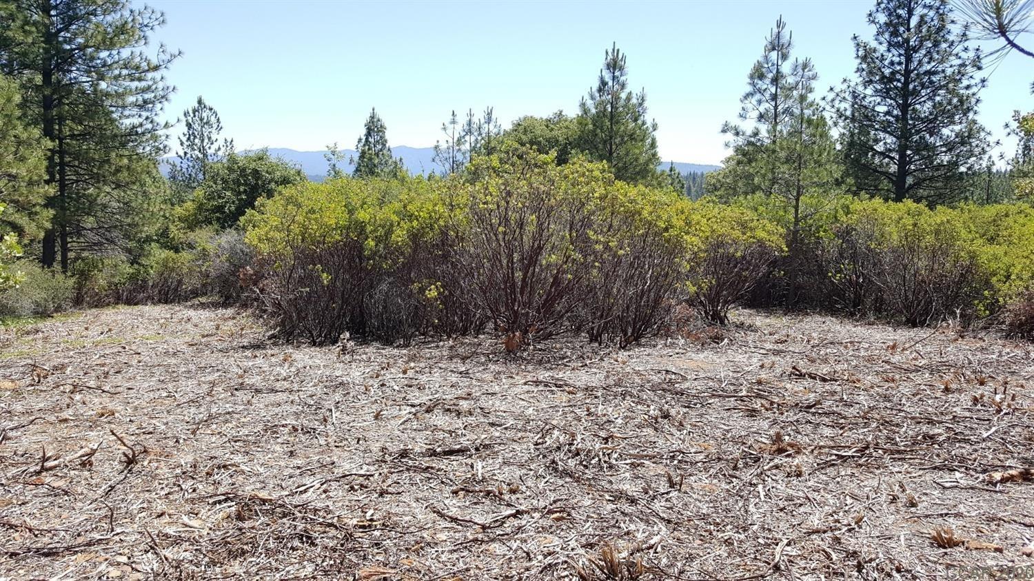 0 Deardorff Road Mokelumne Hill, CA 95245 - Photo 12 of 27
