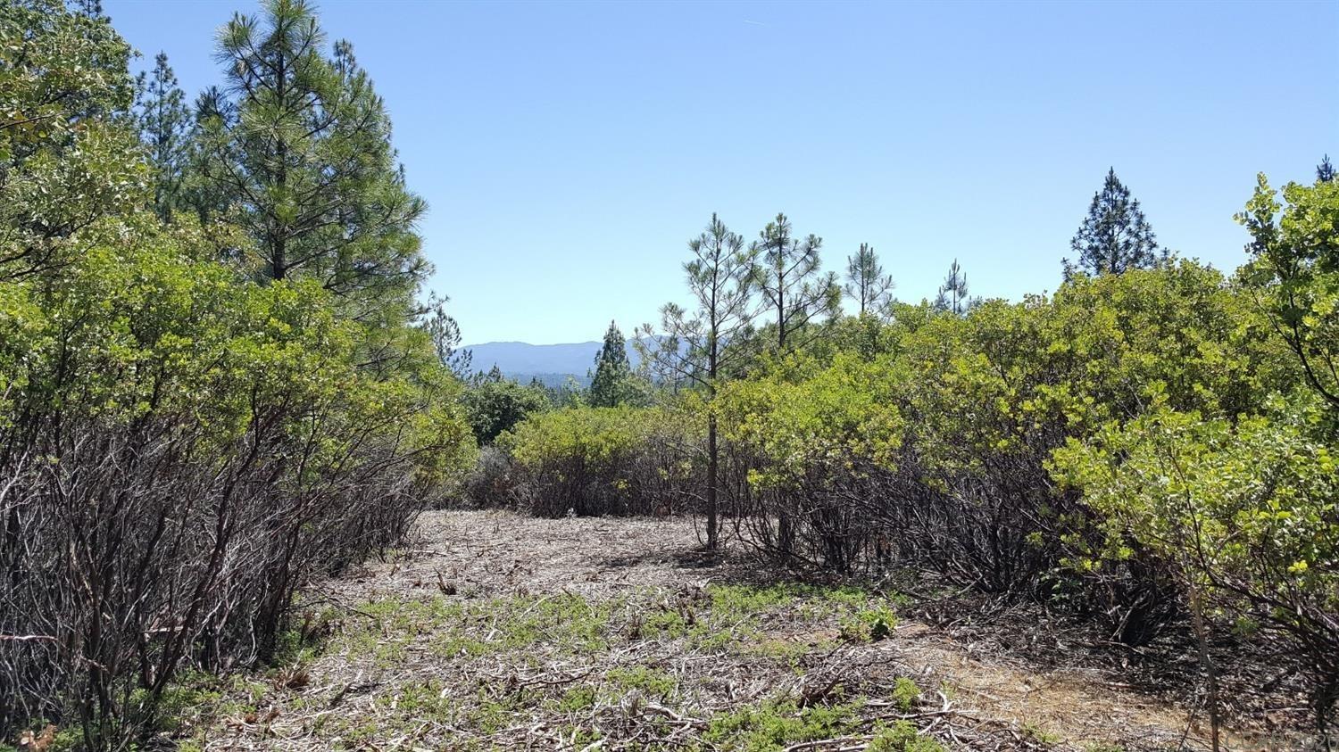 0 Deardorff Road Mokelumne Hill, CA 95245 - Photo 13 of 27