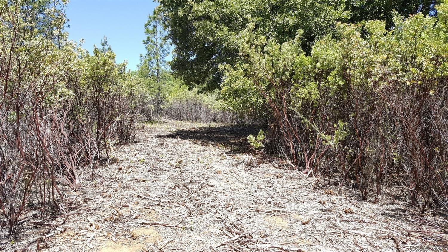 0 Deardorff Road Mokelumne Hill, CA 95245 - Photo 14 of 27