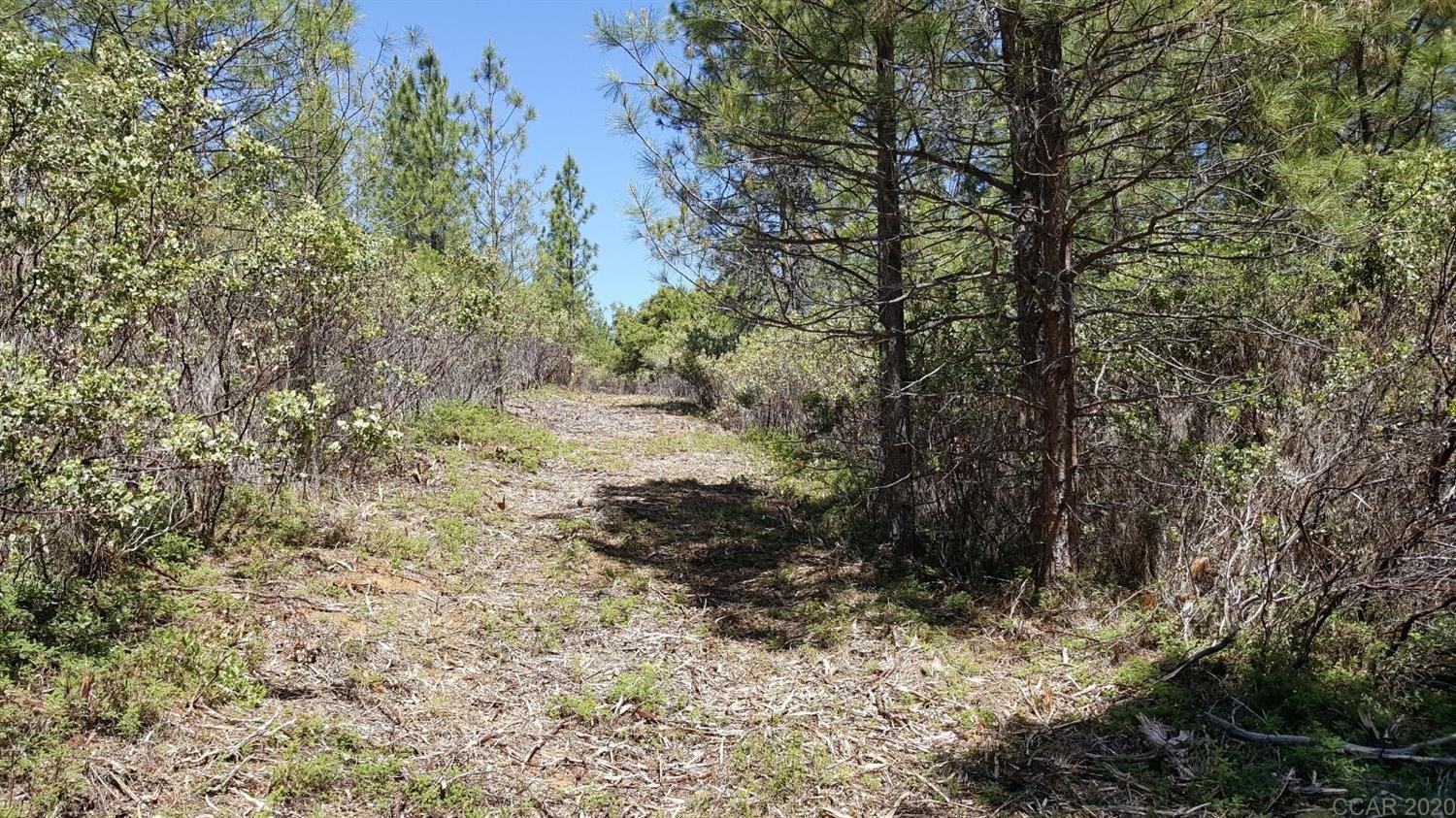 0 Deardorff Road Mokelumne Hill, CA 95245 - Photo 16 of 27