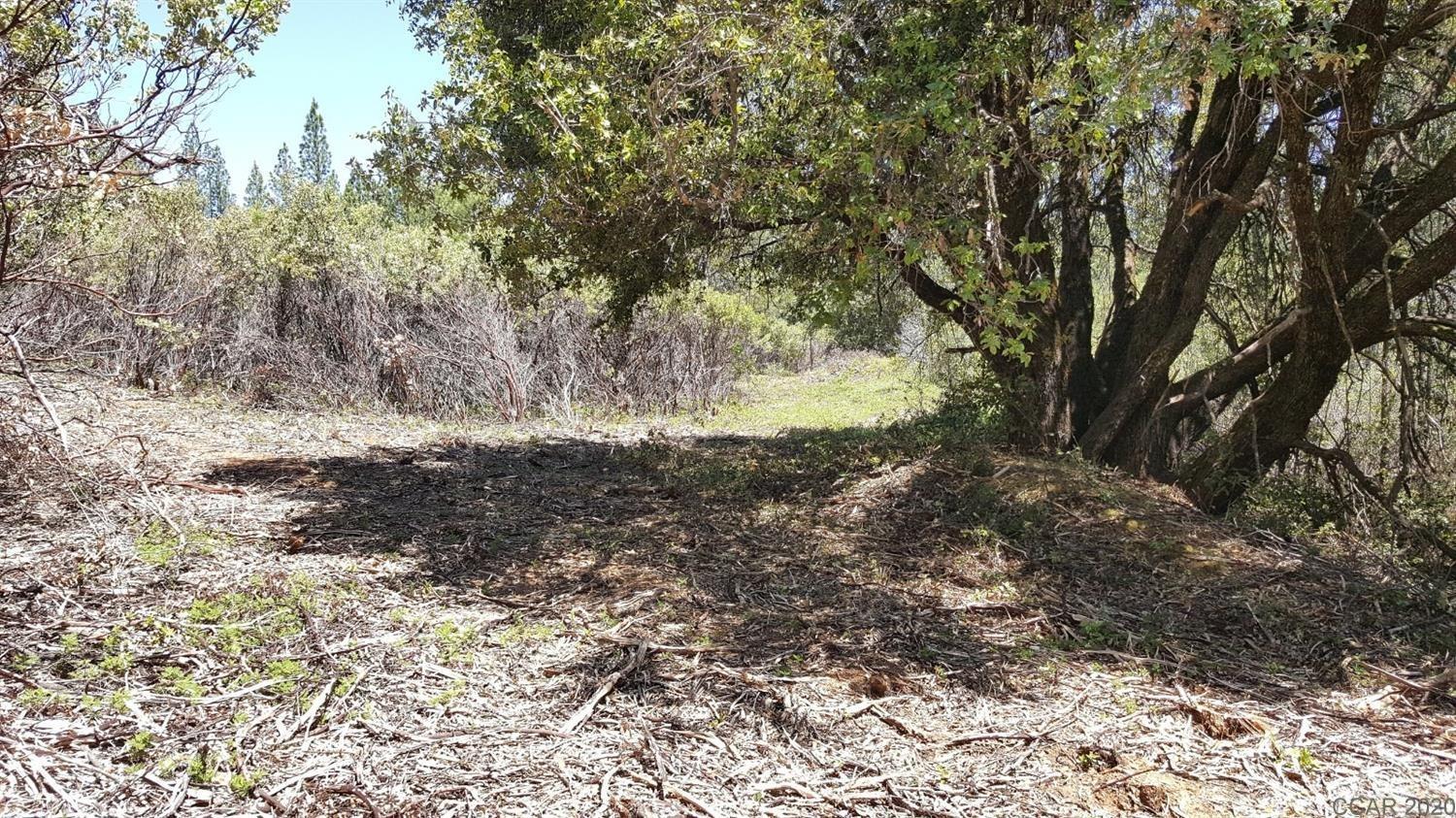 0 Deardorff Road Mokelumne Hill, CA 95245 - Photo 17 of 27