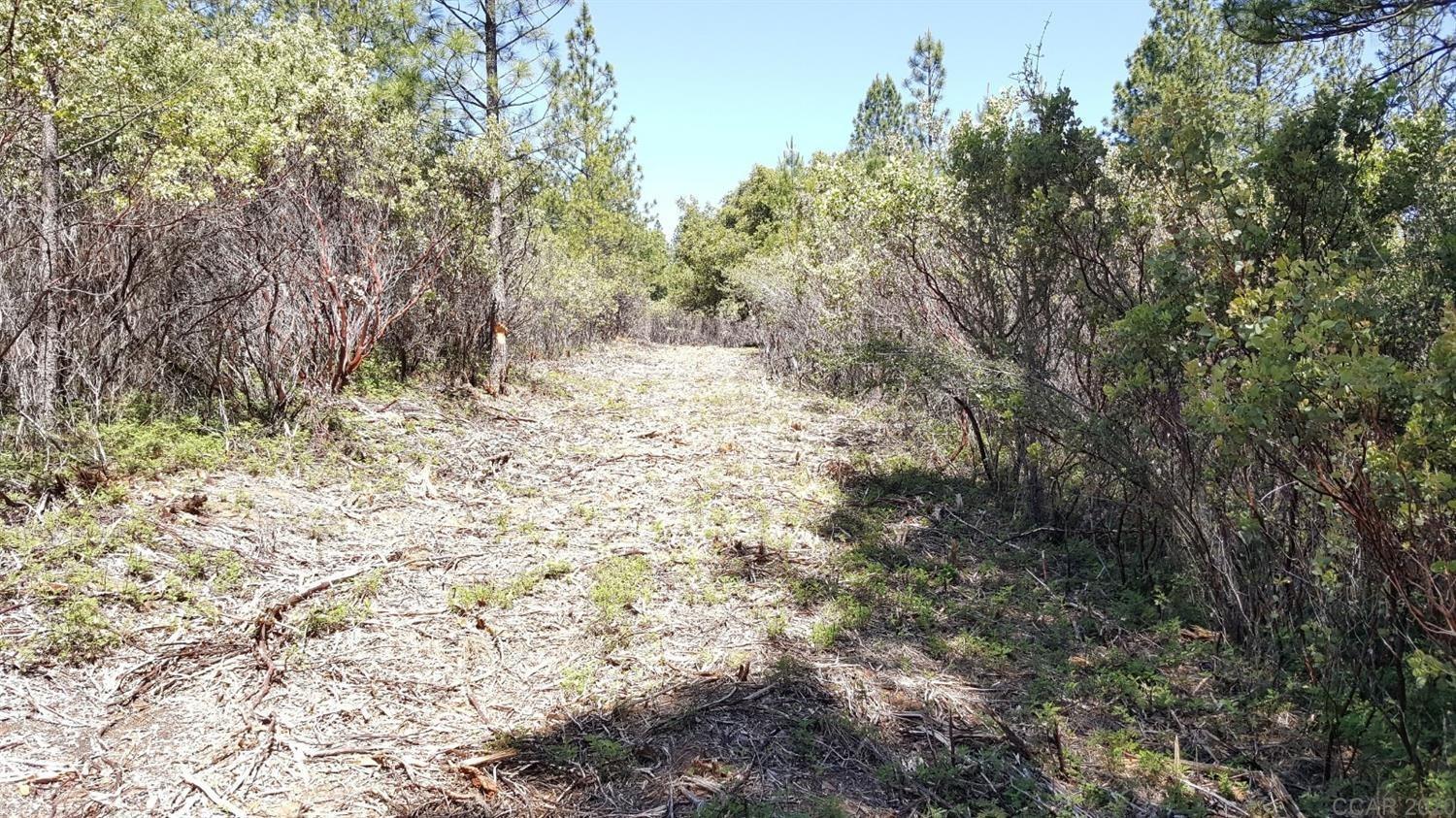 0 Deardorff Road Mokelumne Hill, CA 95245 - Photo 18 of 27
