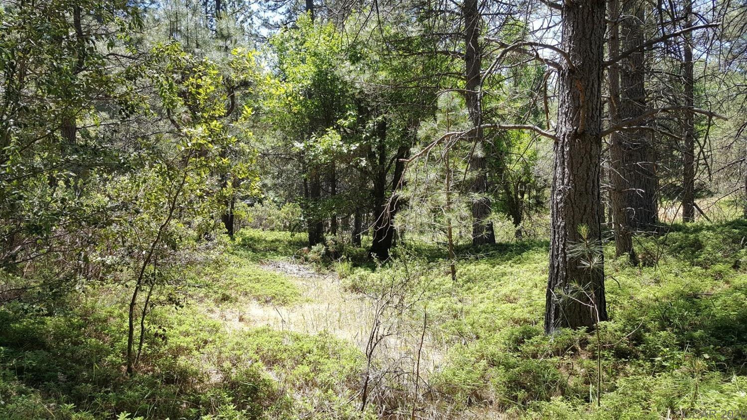 0 Deardorff Road Mokelumne Hill, CA 95245 - Photo 2 of 27