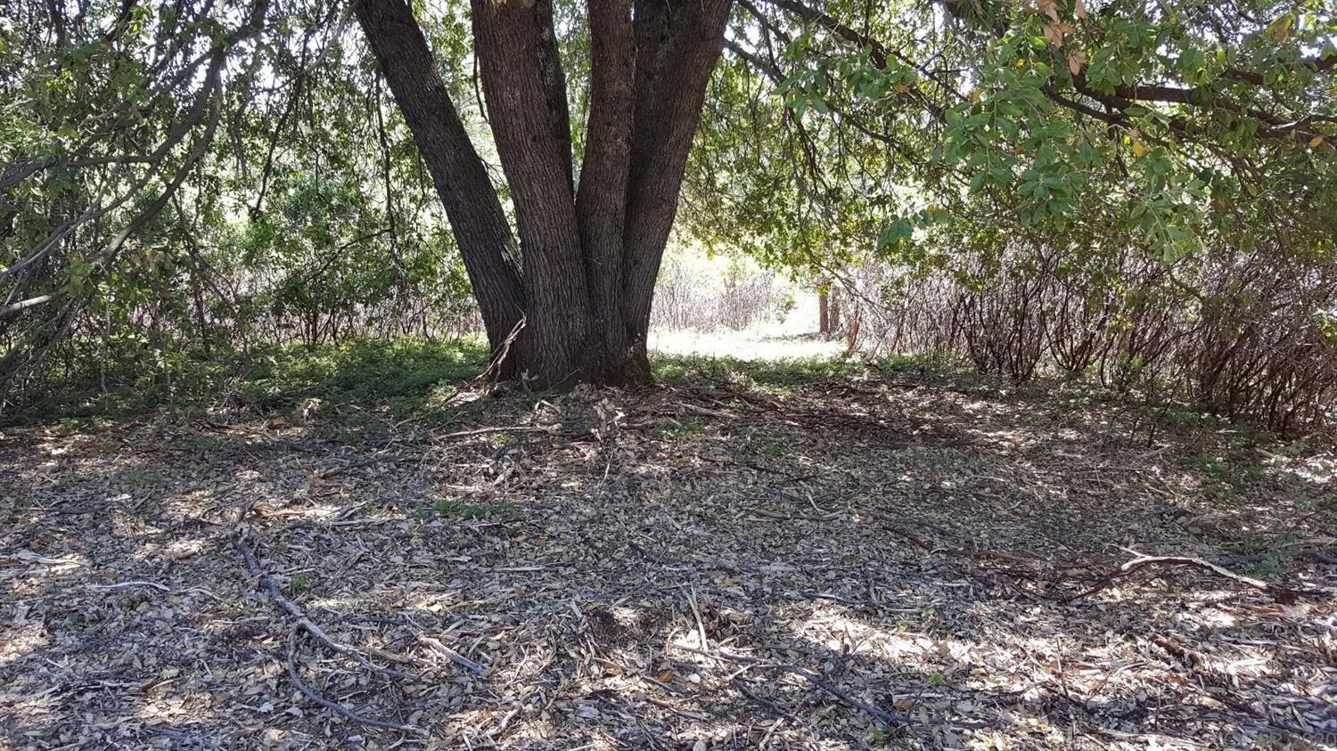 0 Deardorff Road Mokelumne Hill, CA 95245 - Photo 21 of 27