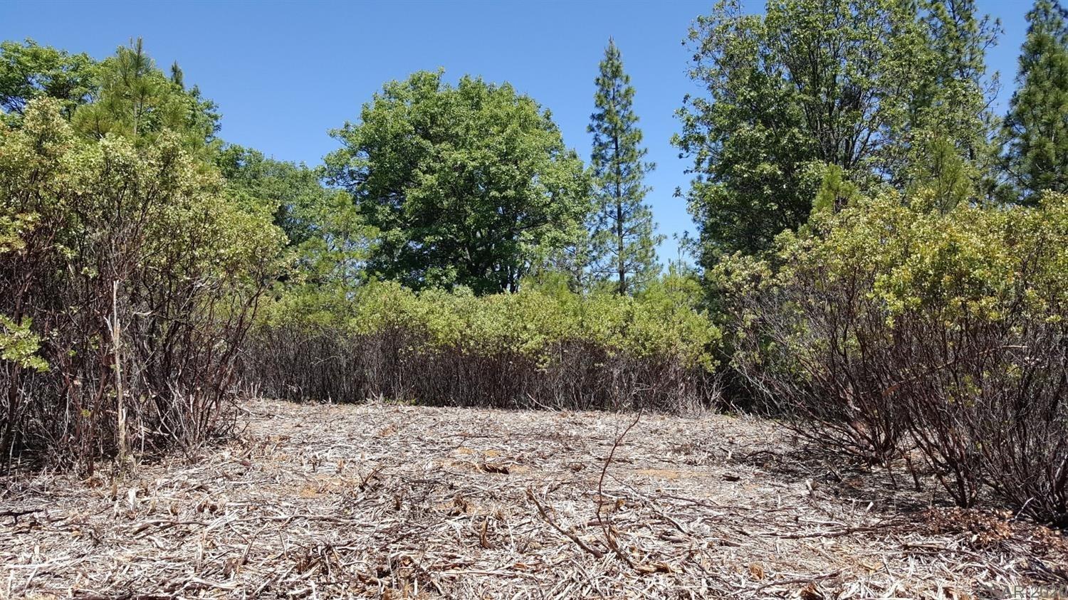 0 Deardorff Road Mokelumne Hill, CA 95245 - Photo 22 of 27