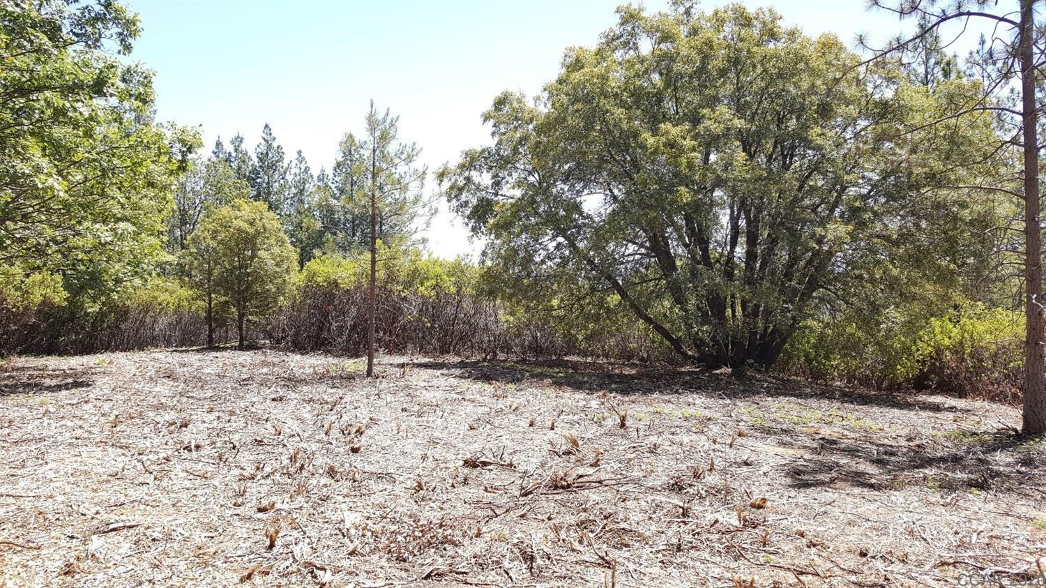 0 Deardorff Road Mokelumne Hill, CA 95245 - Photo 24 of 27