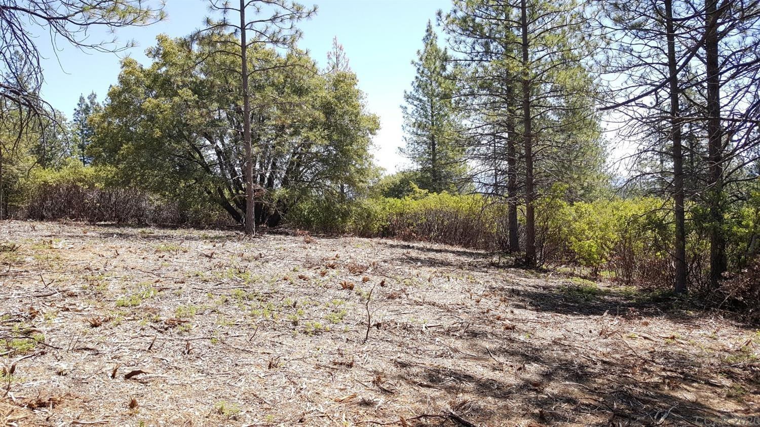 0 Deardorff Road Mokelumne Hill, CA 95245 - Photo 25 of 27