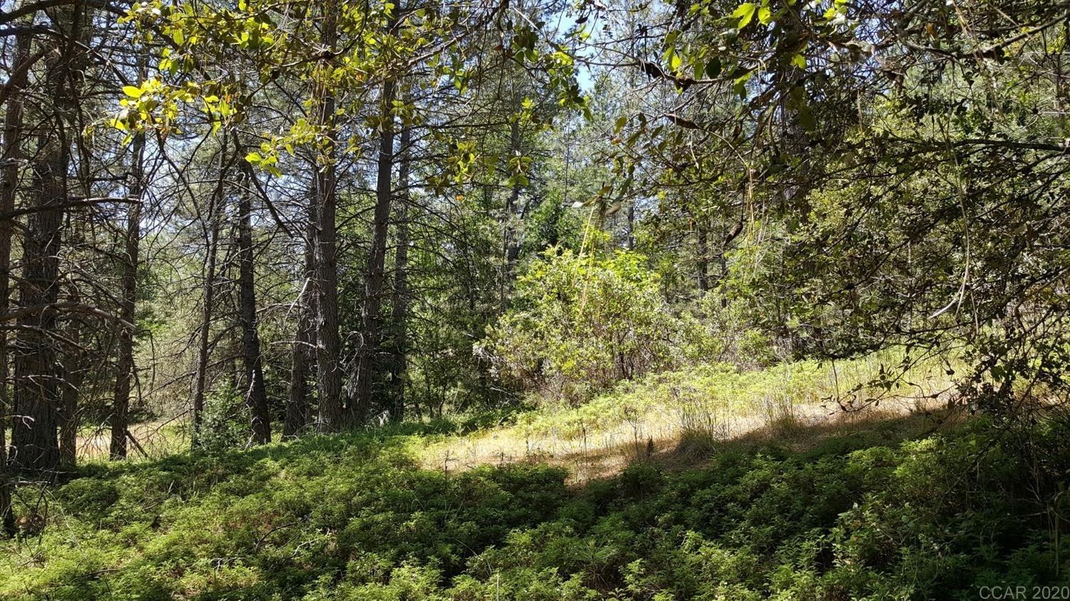 0 Deardorff Road Mokelumne Hill, CA 95245 - Photo 3 of 27