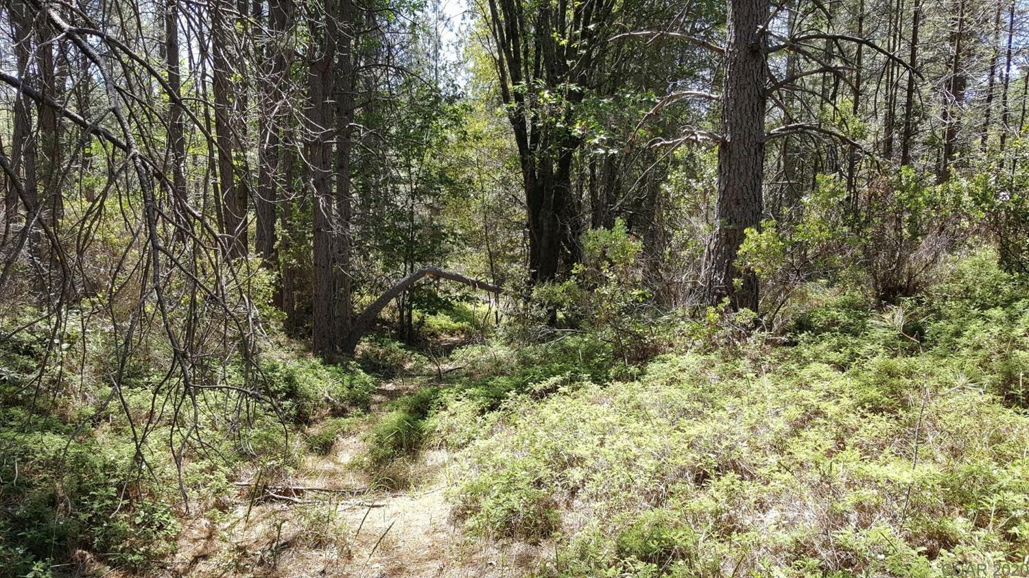 0 Deardorff Road Mokelumne Hill, CA 95245 - Photo 4 of 27