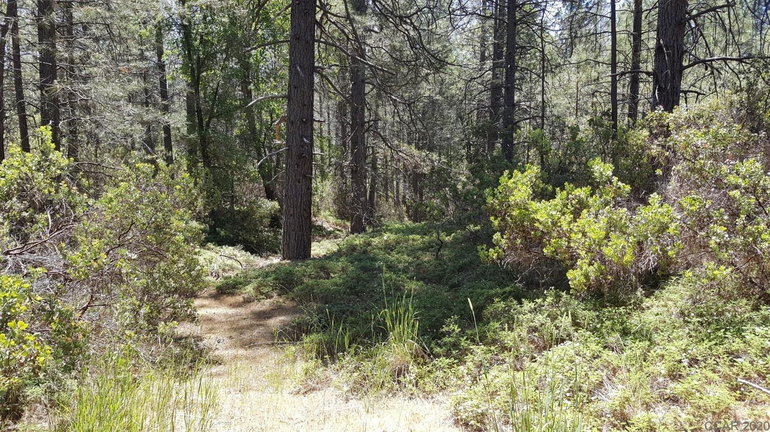 0 Deardorff Road Mokelumne Hill, CA 95245 - Photo 5 of 27