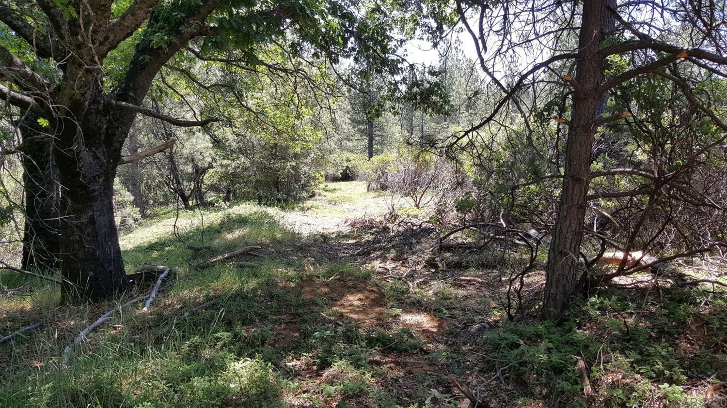 0 Deardorff Road Mokelumne Hill, CA 95245 - Photo 6 of 27