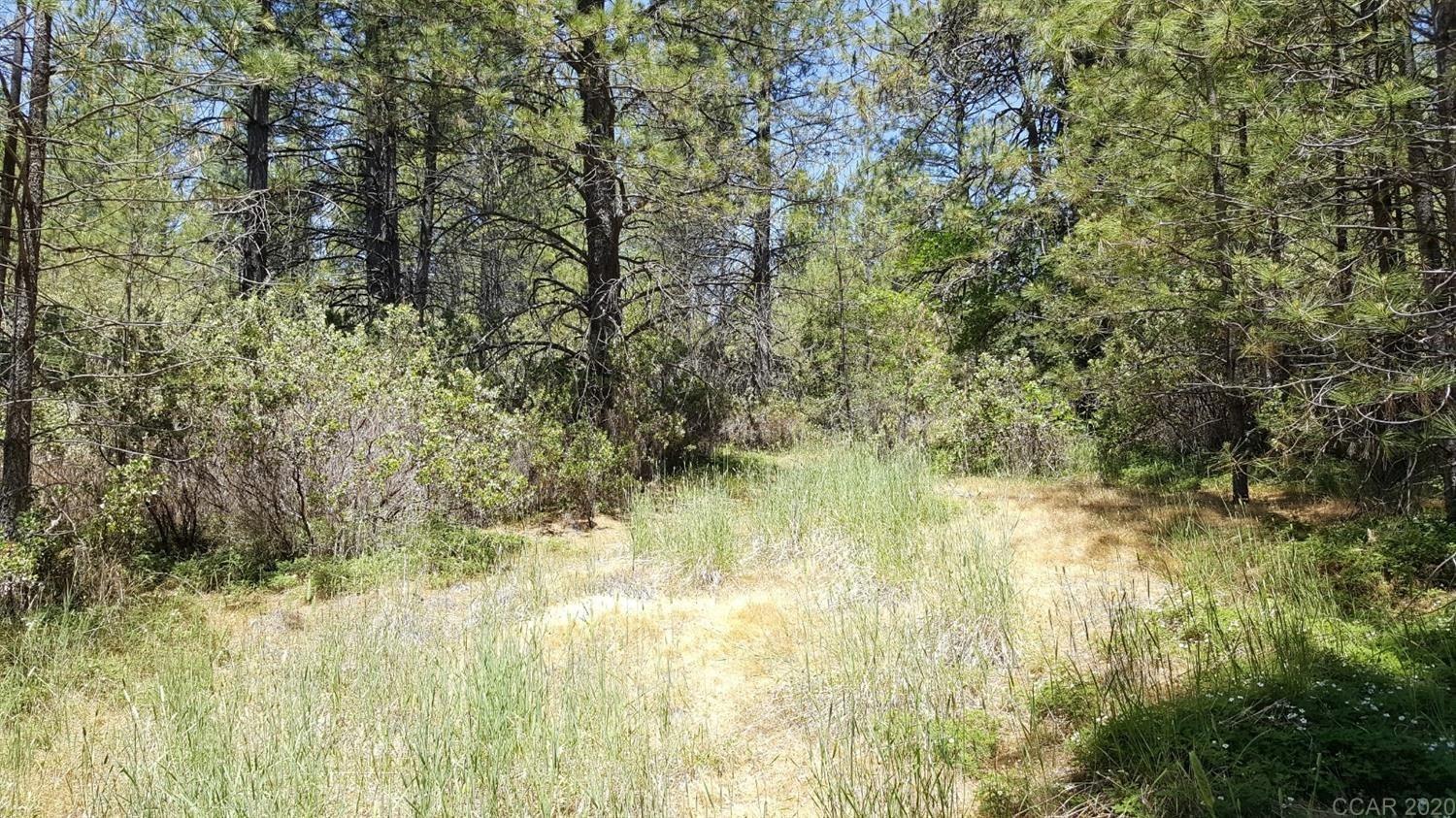0 Deardorff Road Mokelumne Hill, CA 95245 - Photo 7 of 27