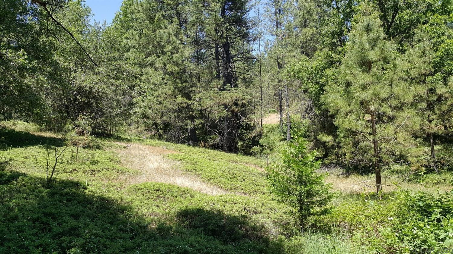 0 Deardorff Road Mokelumne Hill, CA 95245 - Photo 8 of 27