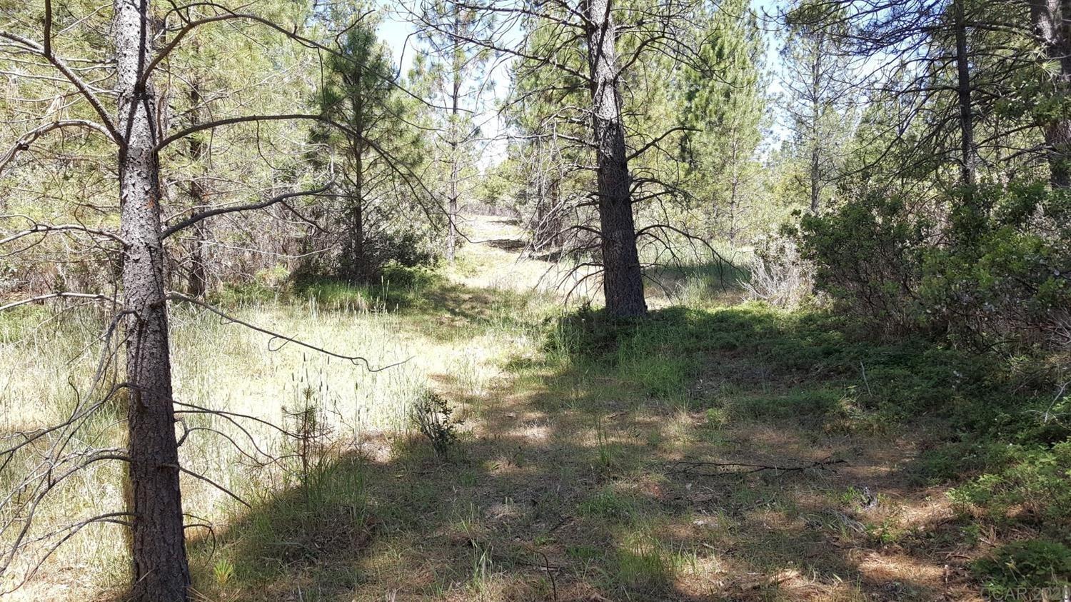 0 Deardorff Road Mokelumne Hill, CA 95245 - Photo 9 of 27