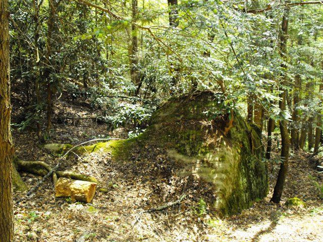28 Cave Holw Road Rogers, KY 41365 - Photo 7 of 29 Photo 7
