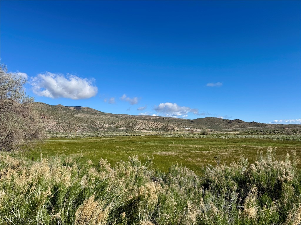 9393 North 93rd Highway Caliente, NV 89008 - Photo 35 of 41 Vast, verdant meadow stretches towards distant, rugged hills under a clear sky.