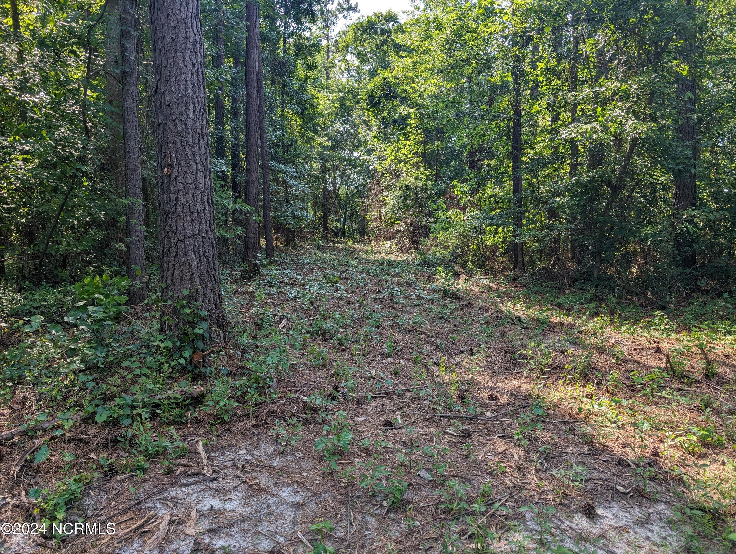 4595 Mercer Mill Road Clarkton, NC 28433 - Photo 2 of 6 PXL_20240606_202954318