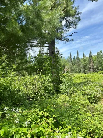 $55,000 | 16550 Ridge Rock Road, Hayward, WI 54843