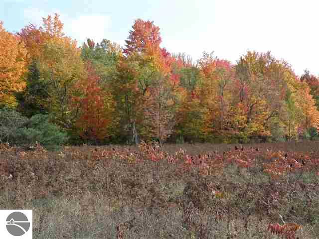 Lot 10 Roberts Road Beulah, MI 49617 - Photo 5 of 20 1732674-4.JPG