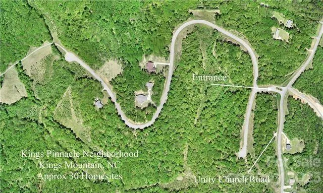 a view of a lush green space