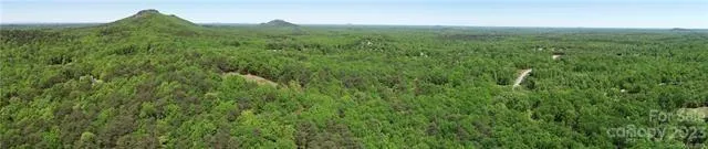a view of a lush green forest with trees in the background