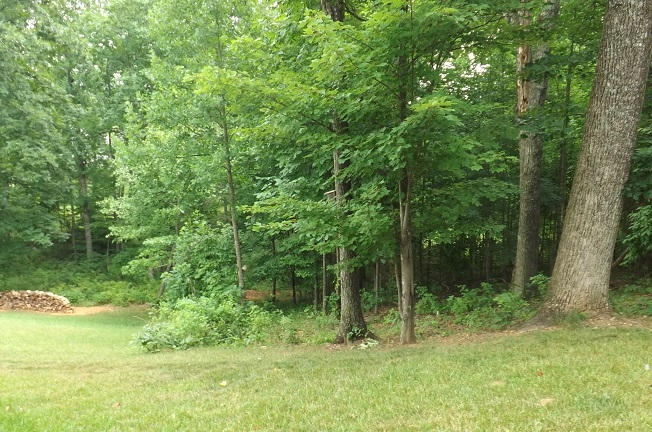 222 Cobblestone Drive Blue Ridge, VA 24064 - Photo 25 of 25 Back of Yard