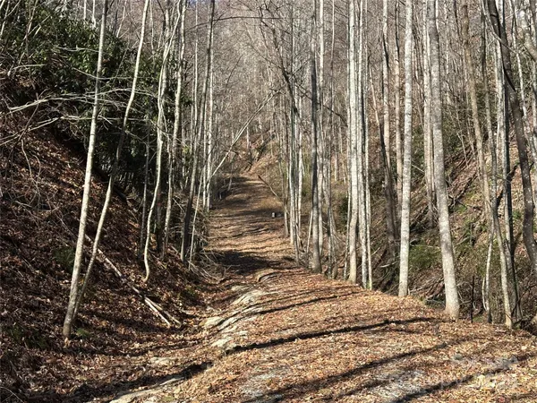 a view of a backyard with a door