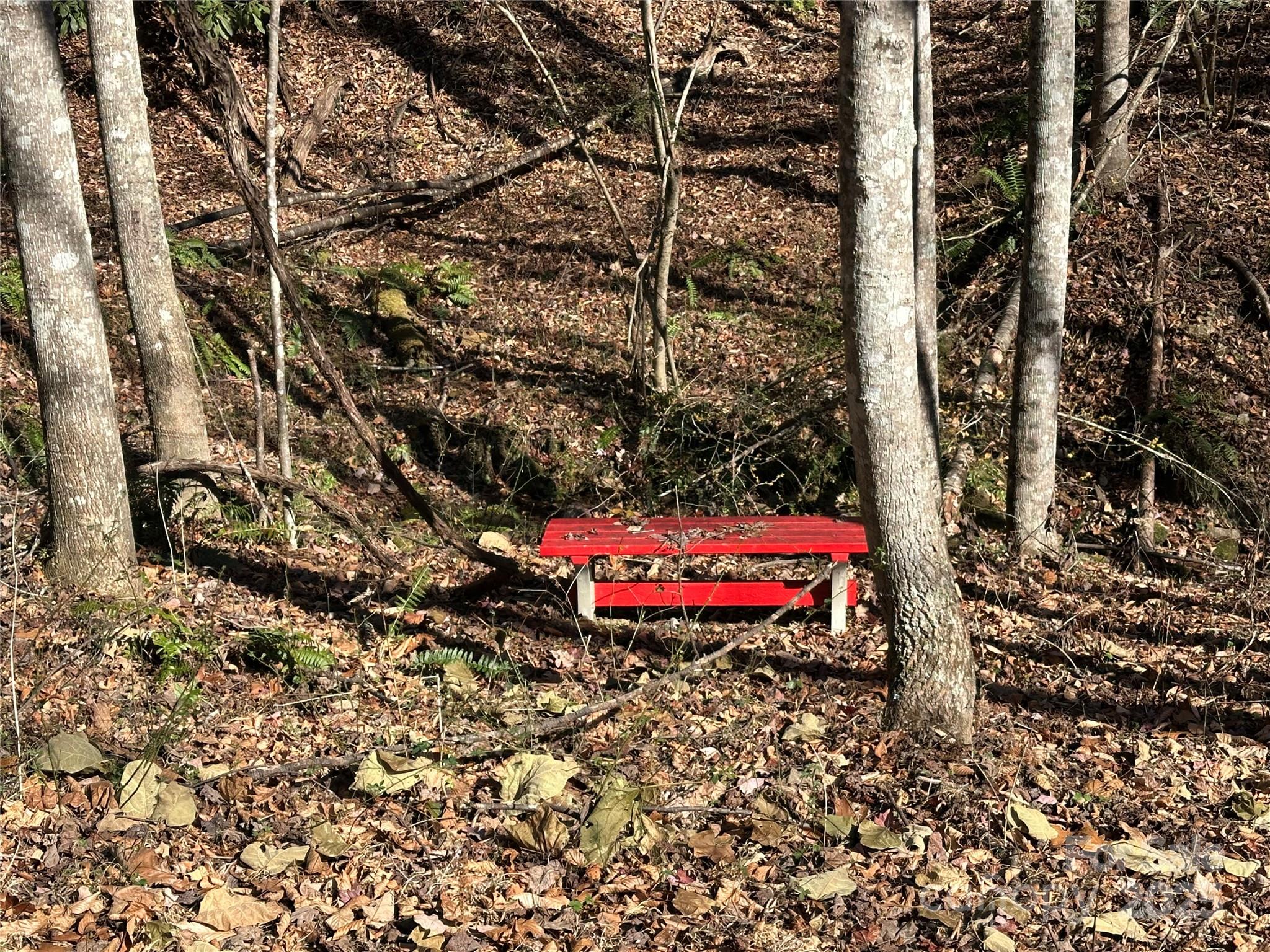 0 Winter Hawk Lane Lenoir, NC 28645 - Photo 4 of 9 a bench is sitting in the middle of a red building